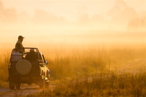 In Search of Royal Bengal Tigers staying in Stylish Boutique Hotels image 2