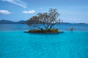 Borneo Eco Trail image 3