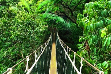Kinabalu Park – Poring Hot Springs – Sukau