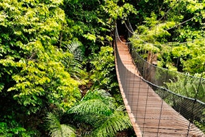 Borneo Nature Trails image 3