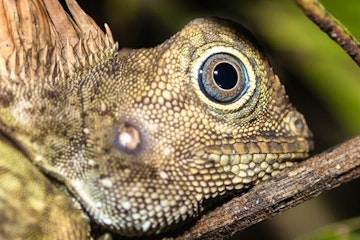 Kuala Lumpur - Taman Nagara