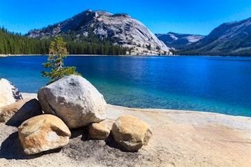 Mammoth Lakes to Fish Camp, Yosemite National Park (130 miles)