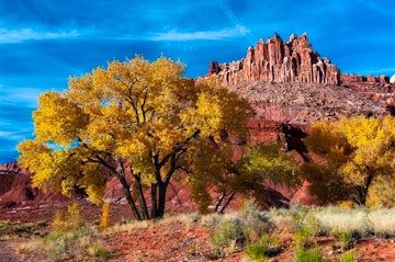 Salt Lake City - Capitol Reef National Park (220 miles)