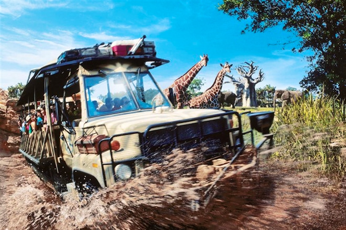 Kilimanjaro Safaris at Disney's Animal Kingdom Theme Park