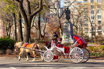 Central Park Horse & Carriage Tour