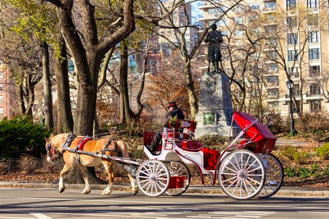 Central Park Horse & Carriage Ride