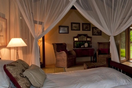 Standard Suite
