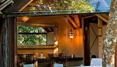 Classic Tree Suites