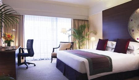 Executive Deluxe Rooms and Suites