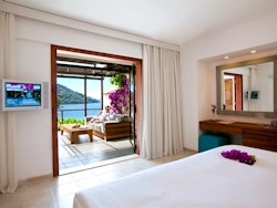 Superior Family Room