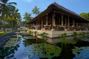 Alila Manggis image 3