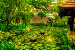 Resort Gardens at Anantara Hoi An Resort