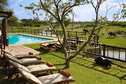 Swimming pool area at Savute Elephant Lodge, A Belmond Safari, Botswana
