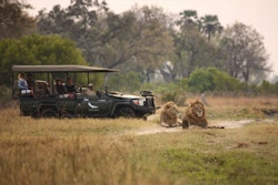Game Drive at &Beyond Sandibe Okavango Safari Lodge