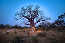 &Beyond Sandibe Okavango Safari Lodge