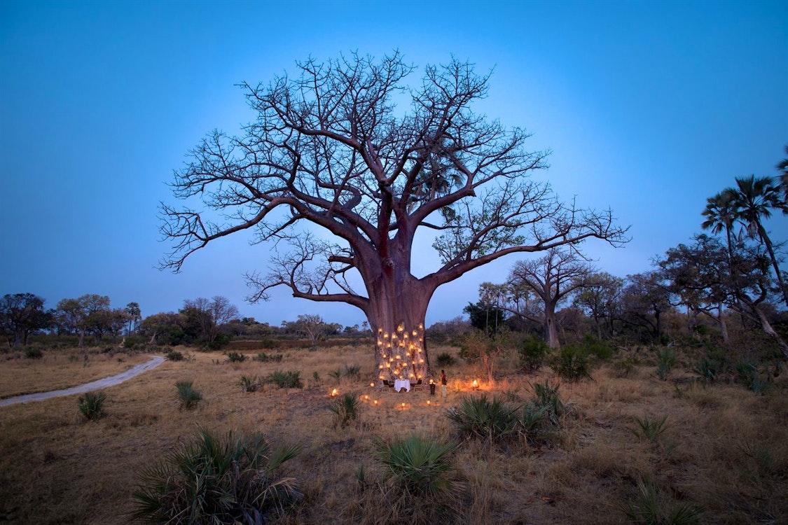 &Beyond Sandibe Okavango Safari Lodge