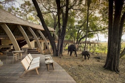 Exterior of &Beyond Sandibe Okavango Safari Lodge