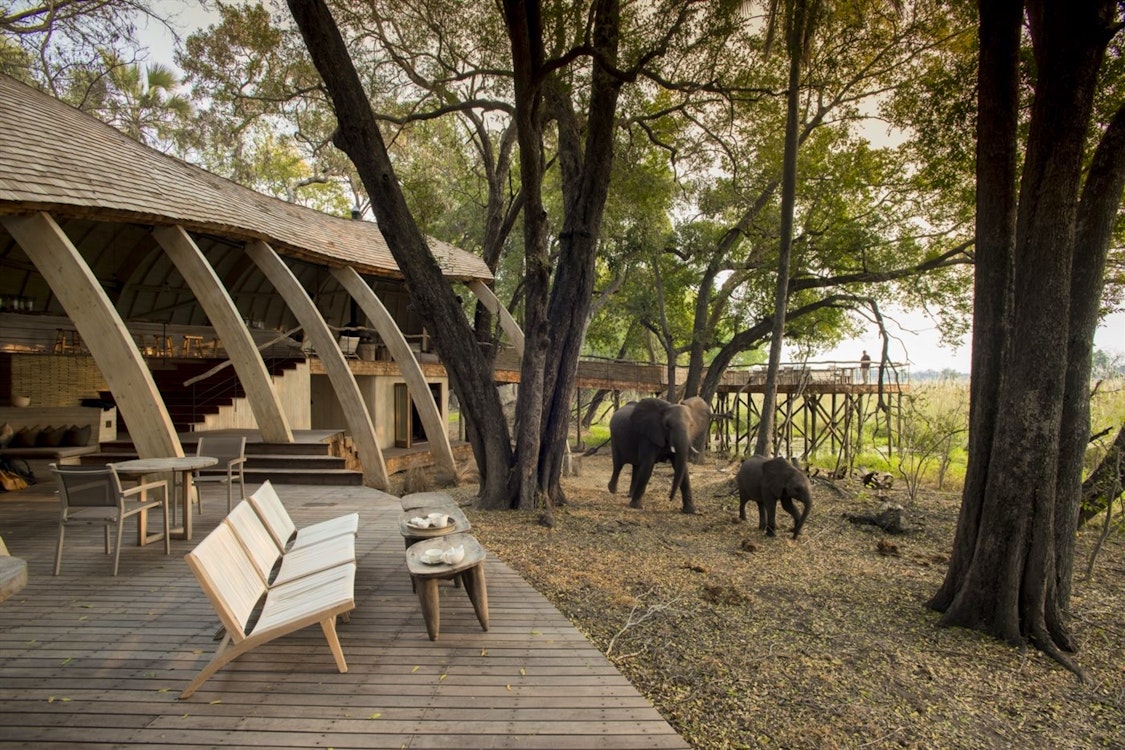 Exterior of &Beyond Sandibe Okavango Safari Lodge