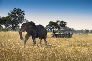 &Beyond Xaranna Okavango Delta Camp image 1