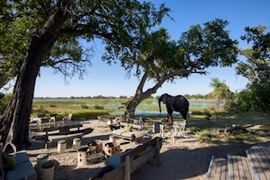 &Beyond Xaranna Okavango Delta Camp image 3