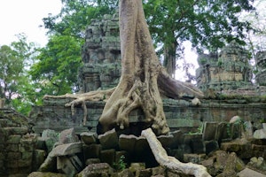 Highlights of Cambodia image 1