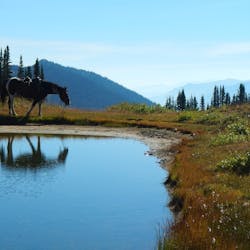 Chilcotin Ranch 5
