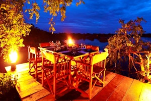 Cinnamon Wild image 1