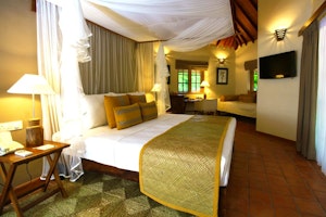 Cinnamon Wild image 2