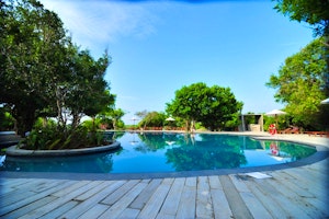 Cinnamon Wild image 3