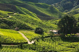 Discover Malaysia image 1