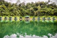 Elephant Hills Rainforest Camp