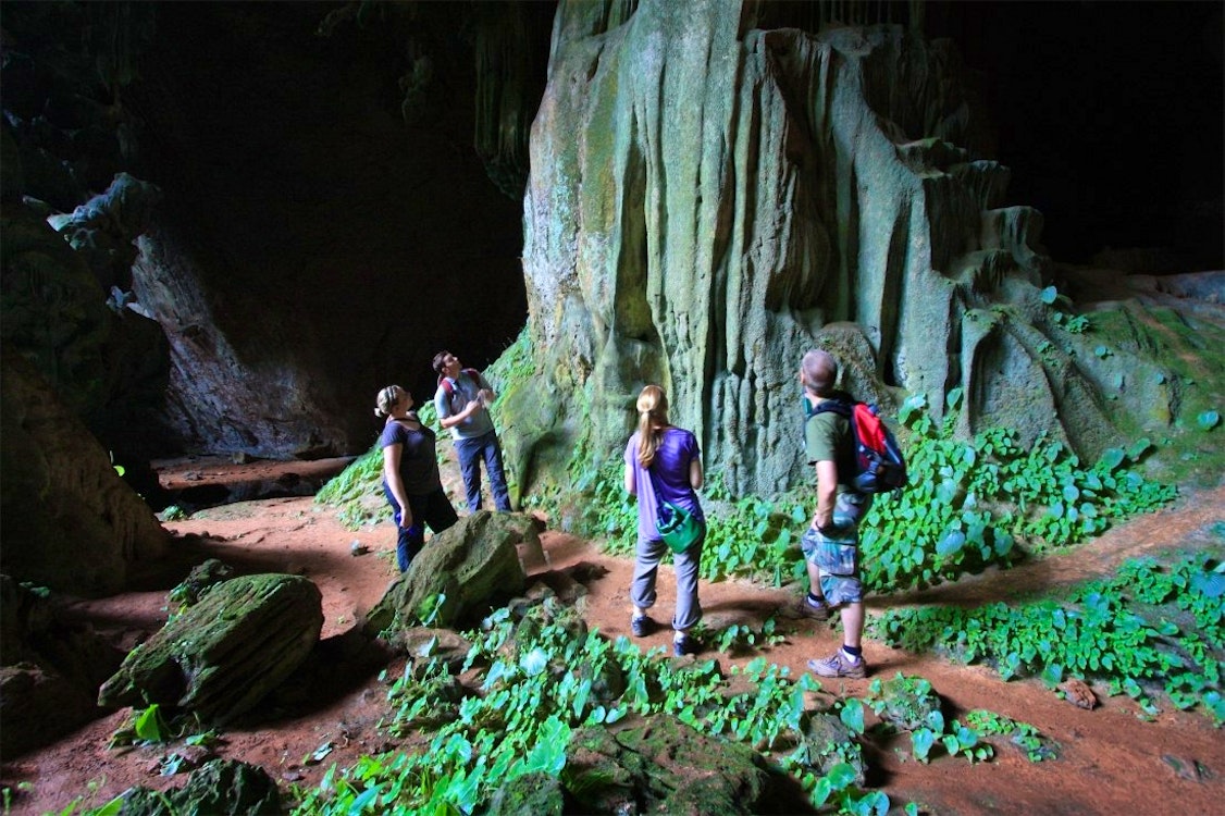 Rainforest Trek at Elephant Hills Rainforest Camp