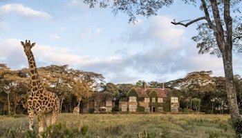 Giraffe Manor image 1