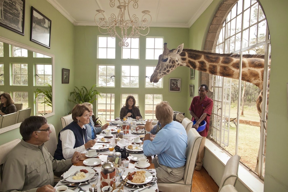 Breakfast with Giraffes at Giraffe Manor