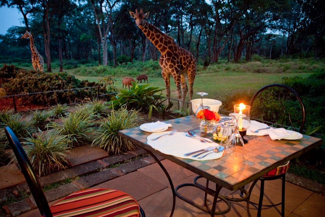 Alfresco dining at Giraffe Manor