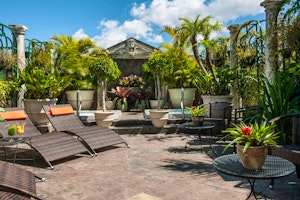 Grano de Oro image 3