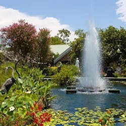 Pond at Inn at Houmas House, Louisiana