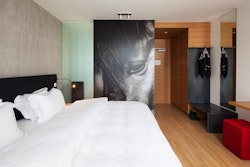 Deluxe Room, Ion Adventure Hotel, Golden Circle, Iceland