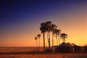 Jack’s Camp image 1