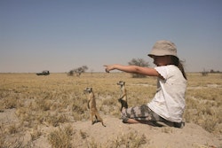 Meerkats at Jack’s Camp