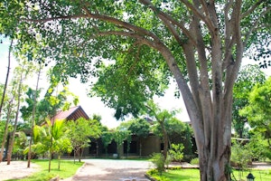 Kalu's Hideaway image 1