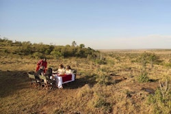 Elephants at Kicheche Valley Camp