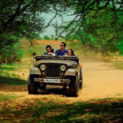 Jeep Safari