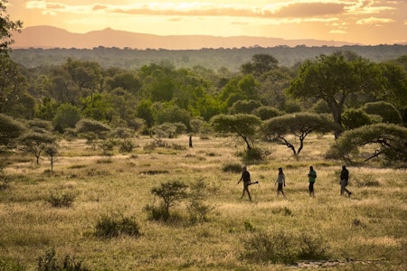 Bush Walk at Lion Sands Ivory Lodge, South Africa