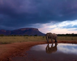 Stormy Skies