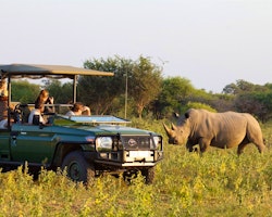 On Safari
