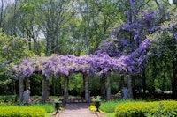 Colourful Garden at Monmouth Historic Inn, Mississippi