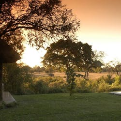 Sabi Sabi Bush Lodge