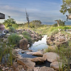 Sabi Sabi Earth Lodge, South Africa