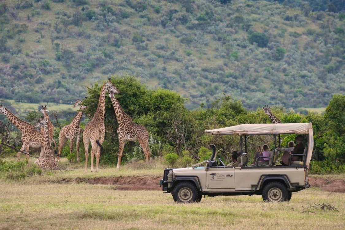 Game drive at Saruni Mara Lodge